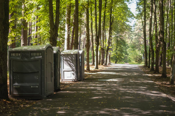Portable Toilet Options We Offer in Wayne Heights, PA